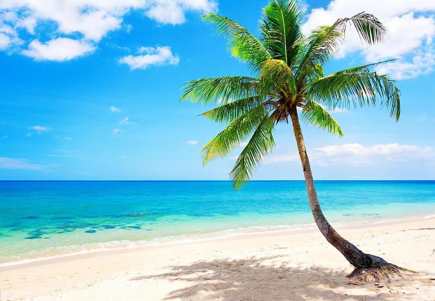 Jambo Diani 1-Bedroom Apartment Close To The Beach Diani Beach Ngoại thất bức ảnh